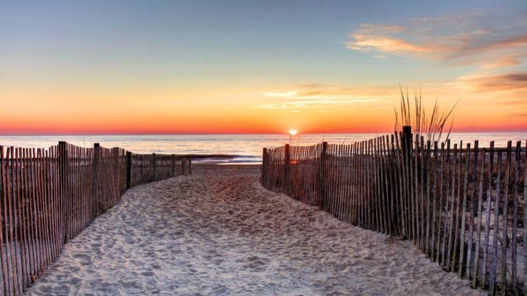 Best Beaches in Delaware for Kids: A Complete Family Guide